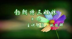 诸葛学堂英法经典文学(2.04G标清视频)百度网盘保存