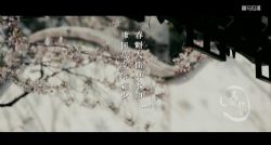 ϲ�����ţ���ʮ�Ľ�������ᣩ��891M������Ƶ���ٶ����̱���