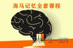 海马记忆全套课程