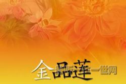 ��Ʒ��435�������������ࣩ