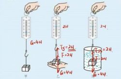 �����ֳ������������� �ٶ����̱���