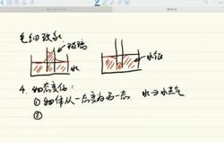 李永乐初二物理暑期班(完结)百度网盘