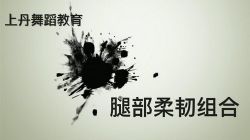 上丹中国舞基训初级课程 百度网盘保存