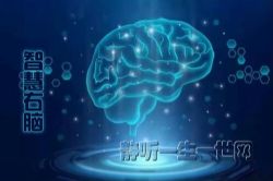 �ǻ�����ȫ����Ƶ