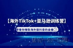 ����TikTok+����ѷʵսѵ��Ӫ����׬������ᣩ