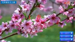 七彩课堂部编版语文七年级上册PPT教学课件+探究积累课件(初一)百度网盘保存