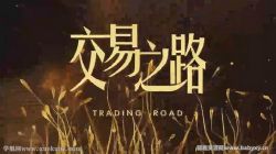 诸葛就是不亮 交易之路 百度网盘