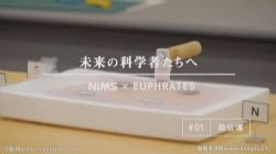 致未来的科学家们双语课程(14集全)百度网盘