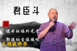 王玥波评书君臣斗(35回)