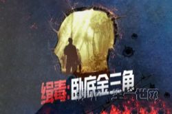 ��ҹ�糡���������Ե׽����� ���ɶ���������