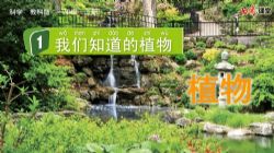 七彩课堂教科版科学一年级上册教学课件 百度网盘保存