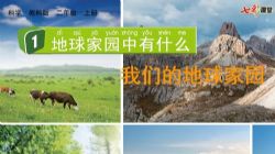 七彩课堂教科版科学二年级上册教学课件 百度网盘保存