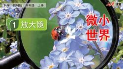 七彩课堂教科版科学六年级上册教学课件 百度网盘保存