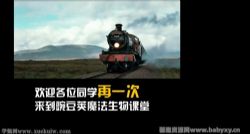 有道2022高三生物陈旭晨秋季班 百度网盘