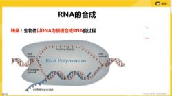 2022考虫考研西医生化学 百度网盘