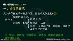 文都2022考研西医临综基础夯实课程生理学 百度网盘