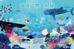 ���׶����̽�أ�ȫ����