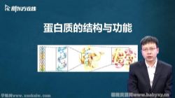 新东方2022考研西医临综基础生物化学新版 百度网盘
