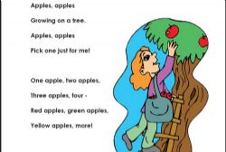 美国地道的阅读理解练习1-5年级PDF 百度网盘保存