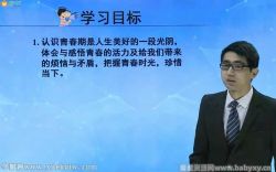 初一政治部编人教版下册同步课(道德与法治)(适合学生)百度网盘