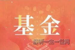 ������Ƶ������������ᣩ