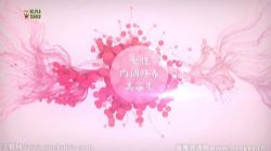 凯叔跟向老师学中医 百度网盘