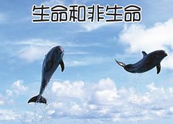 i���޿�ѧ�ϼ�����ᣩ�ٶ����̱���