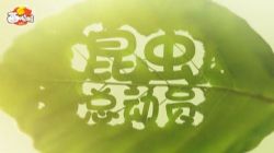 ������С��������ǣ���ᣩ�ٶ����̱���