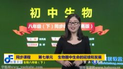 �߸����ó��������˽̰��²�γ̳���Ӣ�����꼶���ٶ����̱���