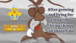 i����ѧ��Ӣ��ϼ�����ᣩ�ٶ����̱���