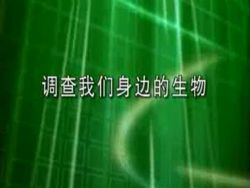 初中生物实验视频 百度网盘保存