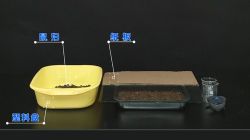 人教版初中生物实验探究七年级上 百度网盘保存