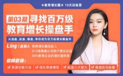百万级教育增长操盘手训练营 百度网盘
