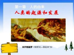 初中生物七年级下册优质课件+教案+试题打包 百度网盘保存