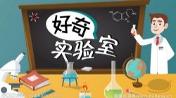学而思轻课好奇实验室(完结)百度网盘