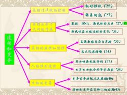 初中生物八年级下册优质课件+教案+试题打包 百度网盘保存