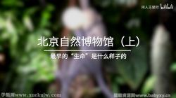 ���Ի�������е���Ȼ��ѧ �ٶ�����