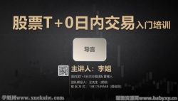 股票T+0日内交易实战课(完结)百度网盘