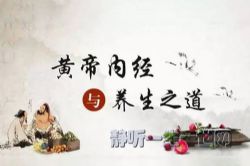 曲黎敏黄帝内经养生大道