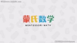 常青藤蒙氏数学思维(完结)百度网盘