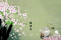 ÷ѧ��÷�������Ϻϼ� �ٶ����̱���