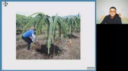 高途2022高考高三地理林萧春季班老教材 百度网盘