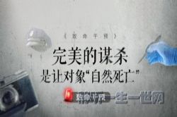 ������Ԥ ���Ⱦ�&����&������&���������ݲ� ��Ʒ�����磨ϲ�����ţ�