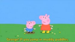 粉猪英语男版(完结)百度网盘