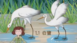 ��֮����У���꼶�����ϲ� �ٶ����̱���