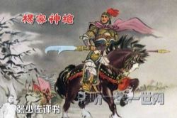 张少佐评书杨家神枪(电视版)