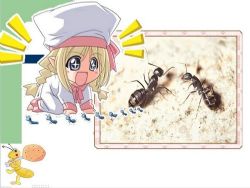 一年级语文作文看图写话ppt课件 百度网盘保存