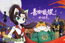 凯叔长安喵探妙狸花
