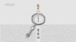 CCTV�ʹ�100�� �ٶ�����