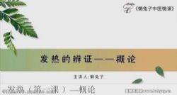 懒兔子中医微课程:感冒发热咳嗽的辩证及中成药使用(完结)百度网盘保存